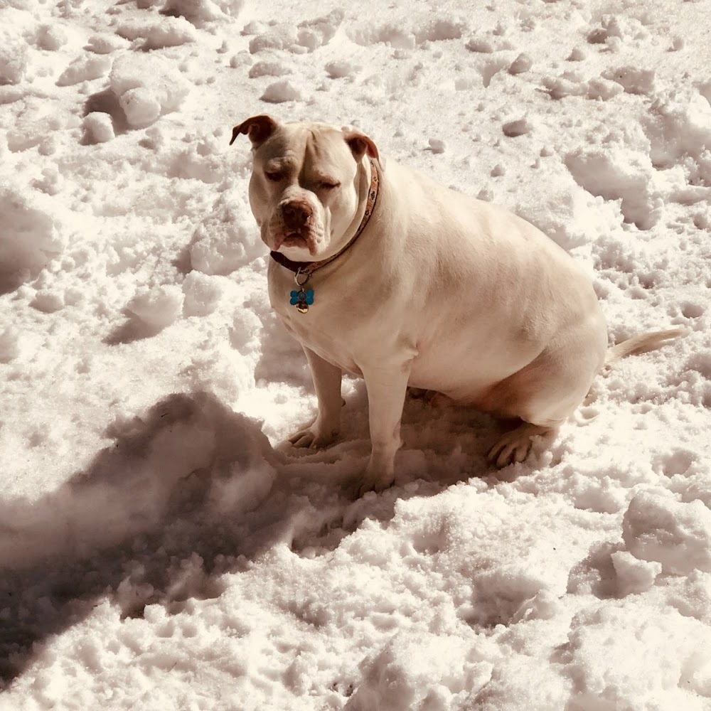 Meet your Posher, Maureen
